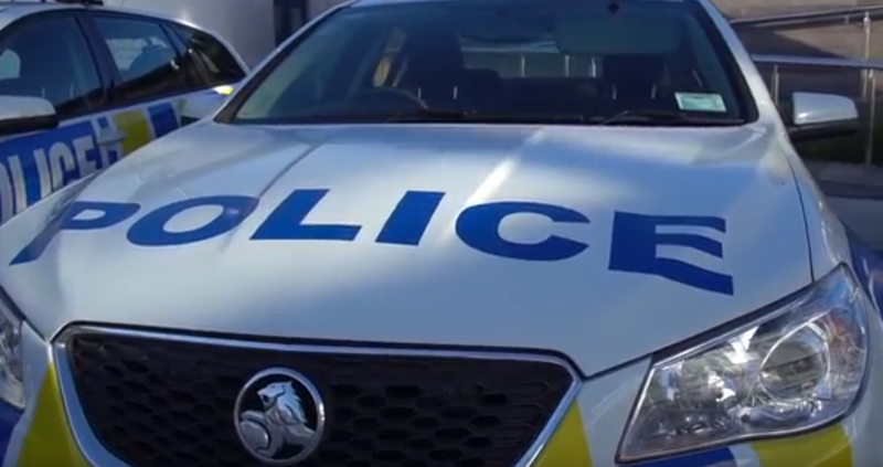 Man arrested arrested after alleged rampage on police patrol car in Hastings