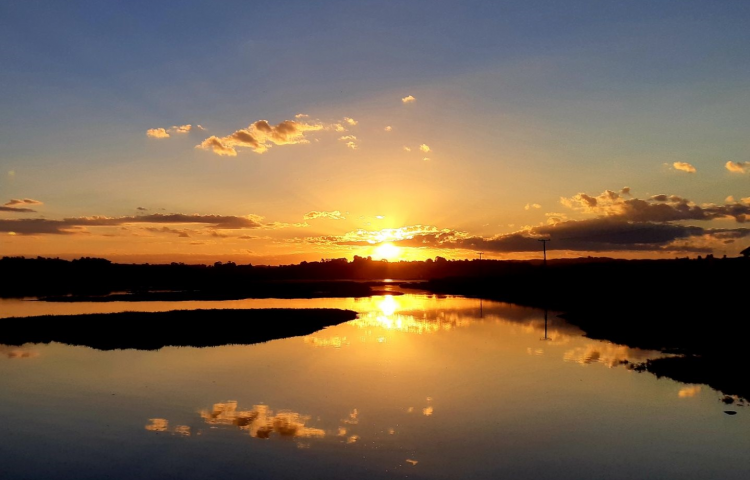 A twilight exploration of Ahuriri Estuary