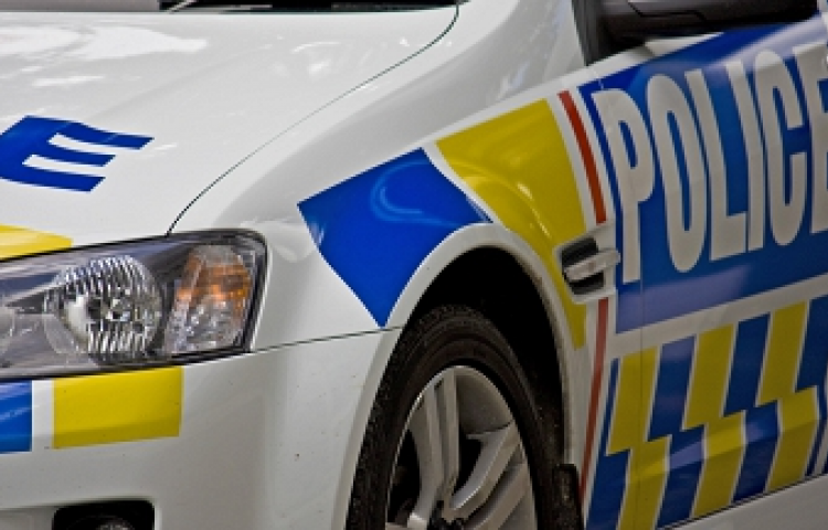 Aggravated assault on policeman among charges Napier pair face