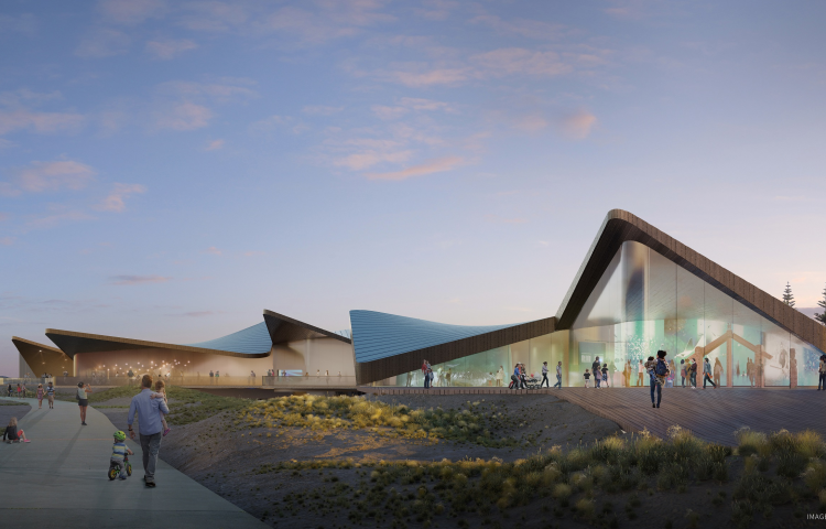 Ambitious plans to demolish and rebuild Napier’s aquarium