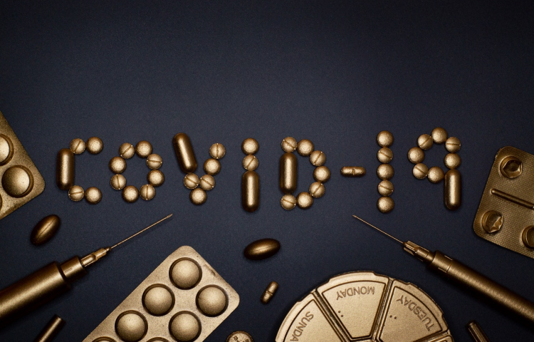 Auckland community case update