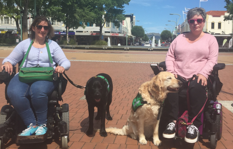 Bay to celebrate International Day of People with Disability