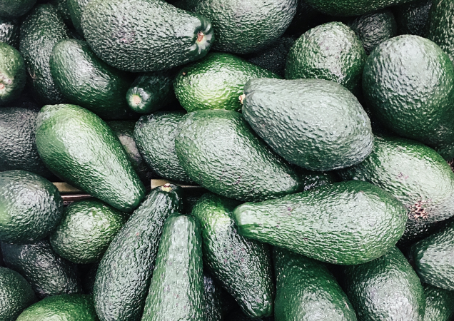 Bay View avocado orchard stripped of fruit during weekend heist