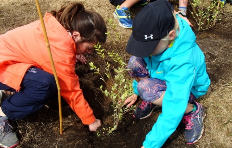 Biodiversity Hawke's Bay announces new funding for projects