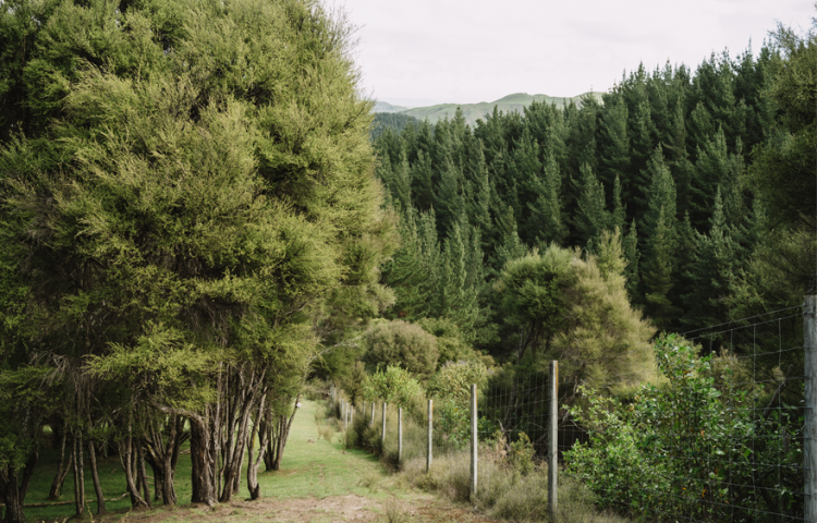 Biodiversity protection on farms boosted by new partnership