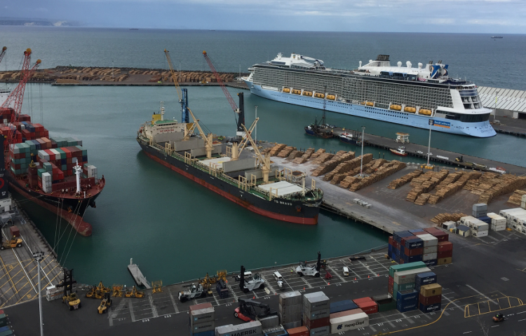 Business case for new wharf approved by Napier Port’s board