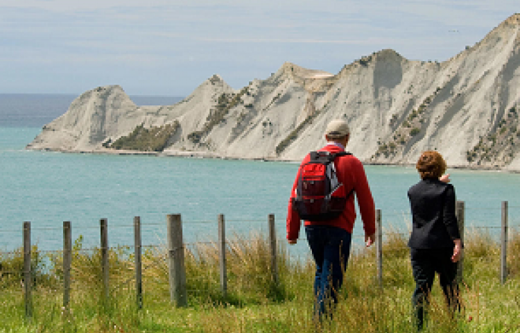 Cape Kidnappers access on track for Labour Weekend