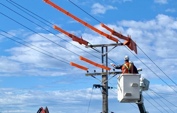 Concerted effort by crews sees most Napier customers restored but challenging conditions for final few hundred