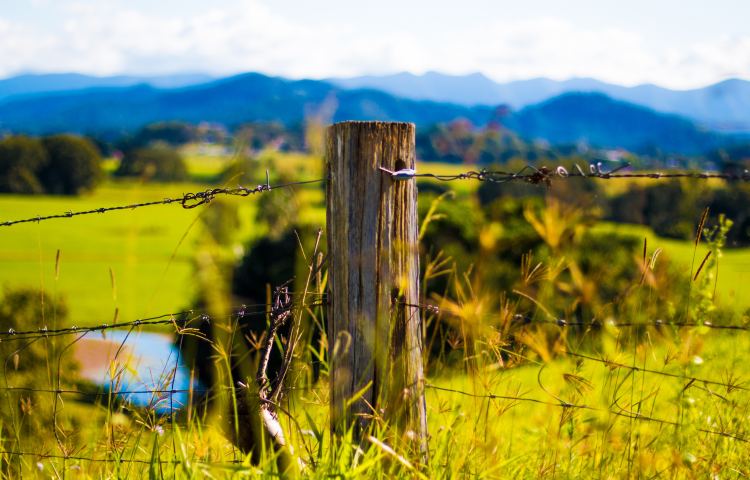 Council makes new appointment to farming innovation trust