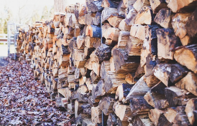 Council says 'good wood' scheme will help fire users get value for money