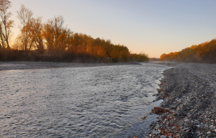 Councils welcome Government’s support for collaboration on three waters