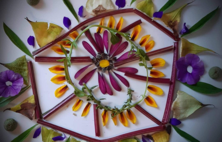 Creating a mandala from your garden