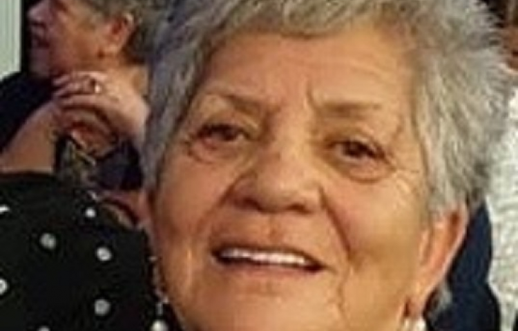 Cyclist killed in Napier crash identified