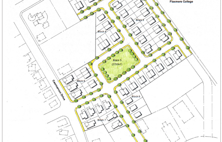 Developers being considered to build more than 150 houses in Flaxmere