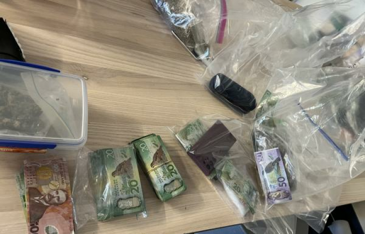 Drugs and $17,000 cash seized from Mahia address
