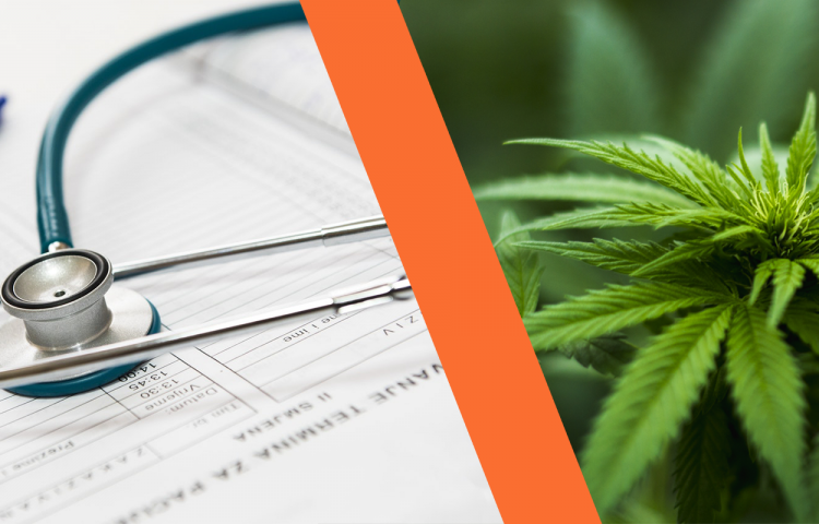 Election 2020 - Preliminary Referenda Results