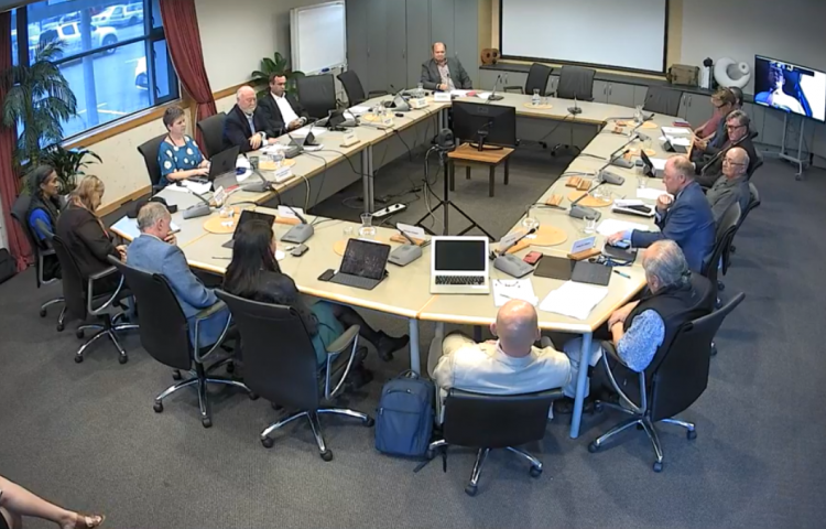 Emotional council on Māori representation