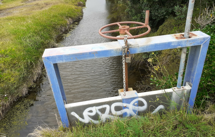 Failed mitigation pump an issue for Haumoana residents