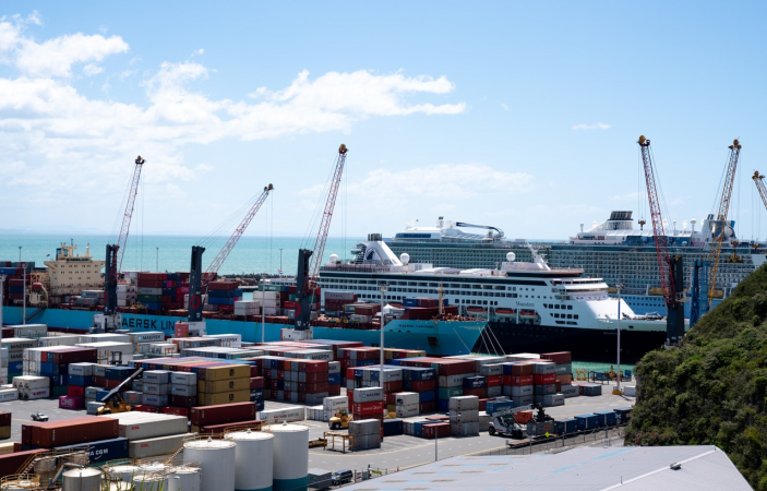 Failure of pallet tank unit revealed as cause of Napier Port chemical spill