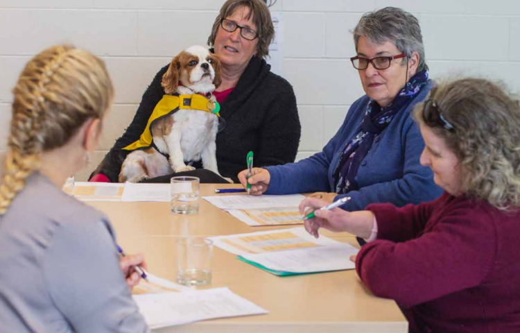 Feedback on Napier Disability Strategy closes next Friday