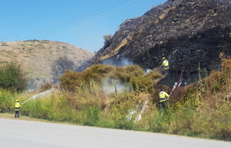 Firefighters contain Napier vegetation fire
