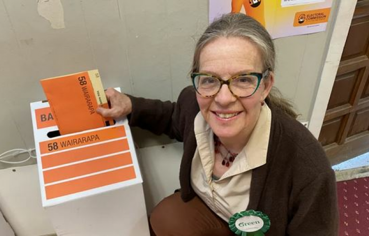 Former Wairarapa candidate Celia WadeBrown to replace Golriz Ghahraman