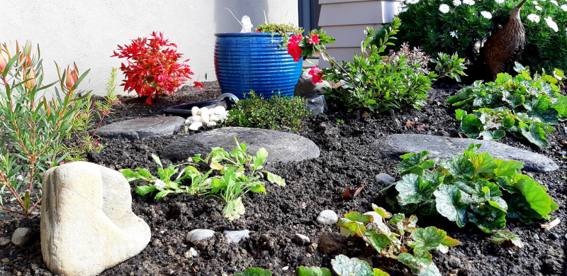 Gardening: Creating your own water feature