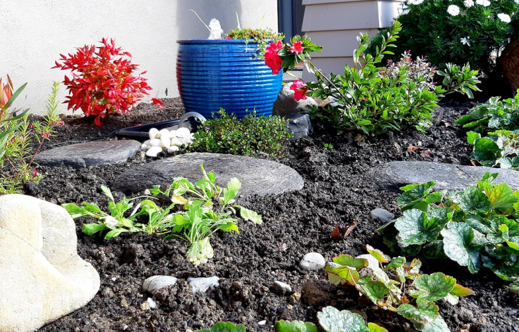 Gardening: Creating your own water feature
