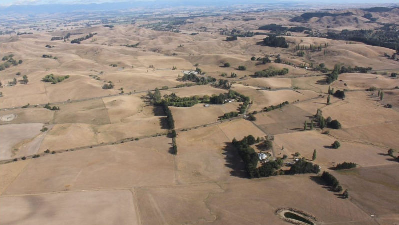 Government asked to declare drought in Hawke's Bay