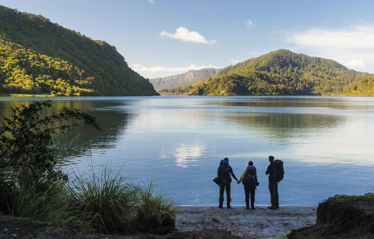 Great Walk bookings rise with reopening of Lake Waikaremoana track but ...