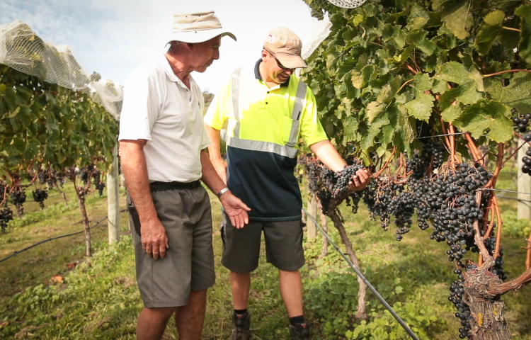 Growers Expo hopes to attract Ag/Hort workers as shortage looms