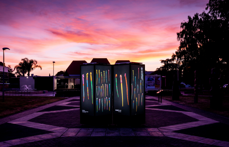 Hastings District Council launches lightbox photo competition