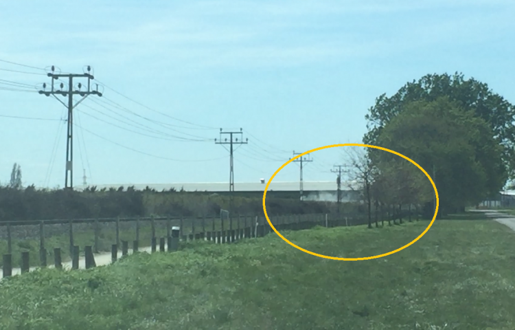 Hastings orchard fined thousands for illegal agrichemical spray  drift