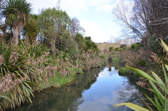 Hawke's Bay farms get $4.1 million grant for freshwater improvement