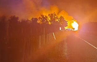 Hawke's Bay firefighters save properties in path of large vegetation fire