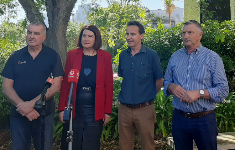 Hawke's Bay growers welcome government help, but more is needed