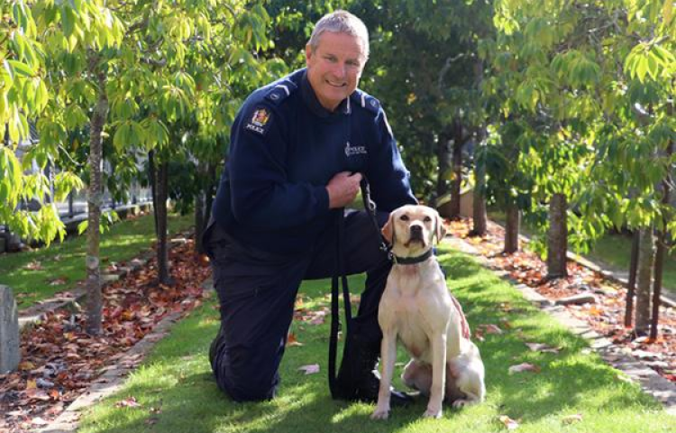 Hawke's Bay police dog handler retires 12 years after being shot in Napier siege