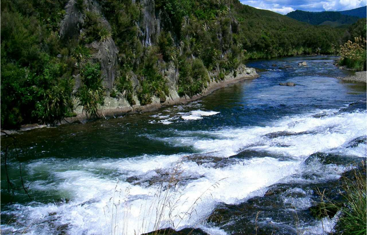 Hawke's Bay Regional Council set to engage with community for Mohaka catchment plan