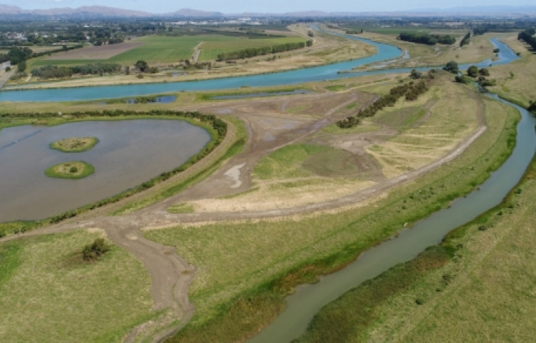 Help plant 3,000 trees on Saturday