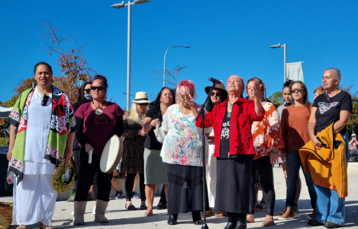 Hundreds gather at Havelock North Domain in support of woman with moko kauae