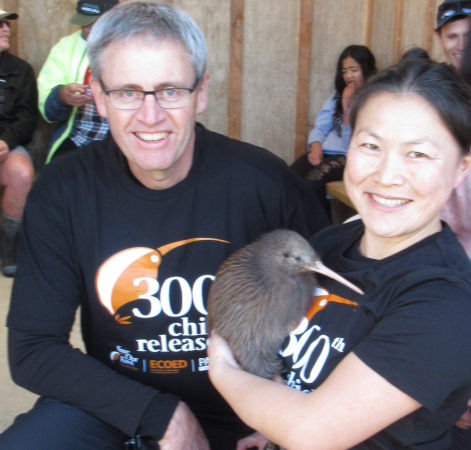Kaweka kiwi conservation hits 300th milestone.