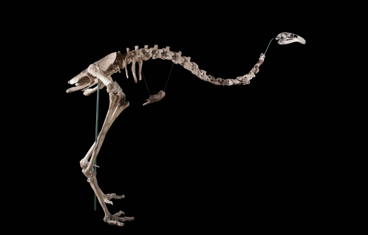 Kids help create ‘Mystery of History’ at MTG