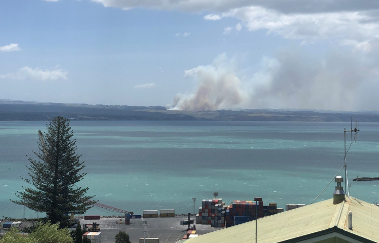 Large forest fire burning north of Napier