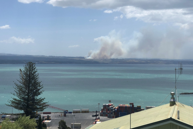 Large forest fire burning north of Napier