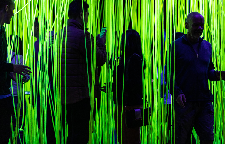 Large light sculptures popping up in Hastings city