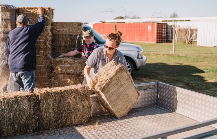 Lifestyle feed runs a great success