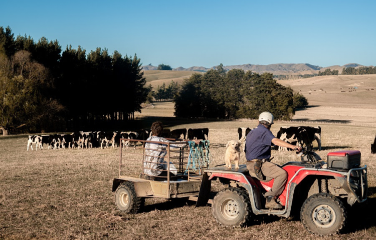 Lifestyle feed runs planned for the next two weekends