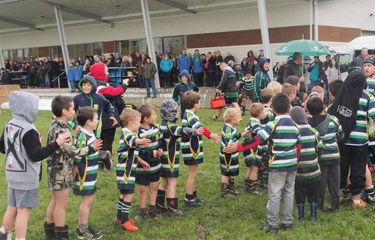 Lighting upgrade for Ellwood Park in Hastings