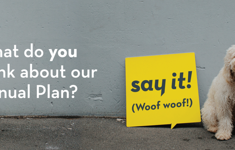 Live Q&A with Napier City Council - Annual Plan 2020/21