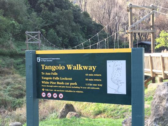 Logging around Tangoio and Tūtira